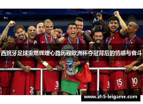 西班牙足球重燃辉煌心路历程欧洲杯夺冠背后的情感与奋斗