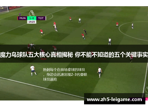 魔力鸟球队五大核心真相揭秘 你不能不知道的五个关键事实